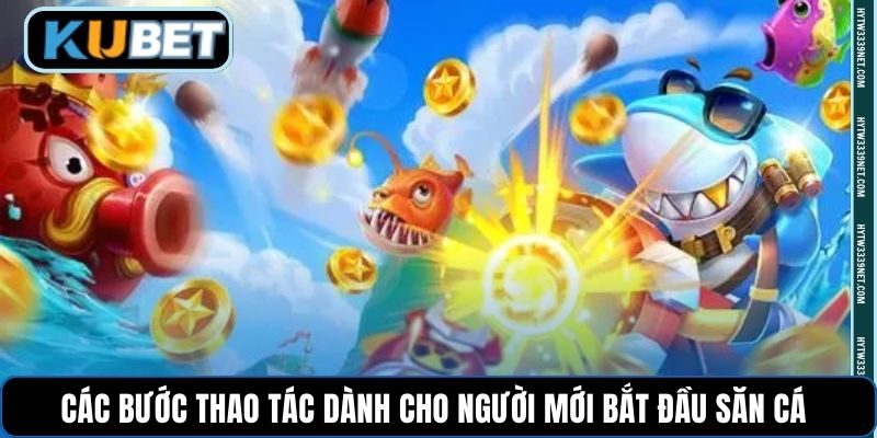 Các bước thao tác dành cho người mới bắt đầu săn cá